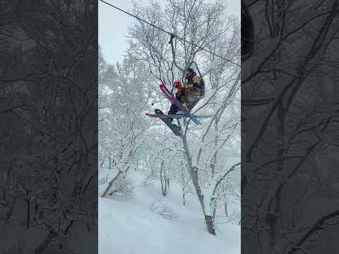 Deep pow day at Seki onsen