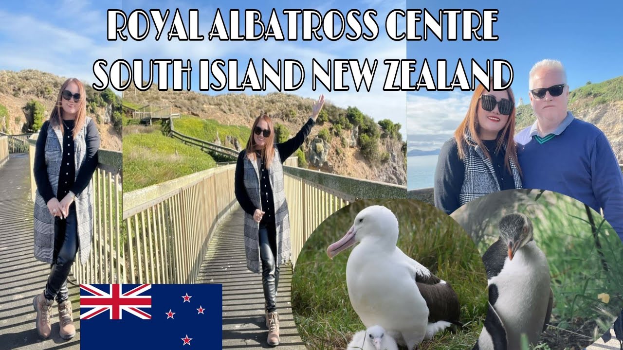 Enjoy a complete guided tour around the Royal Albatross Centre