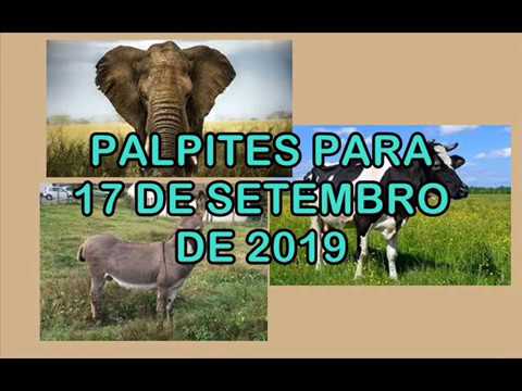 Palpites Para 17 de Setembro de 2019