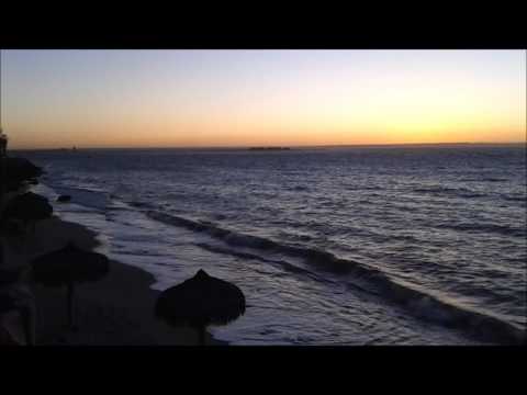 Kid Coconutz - She Contemplates The Beach