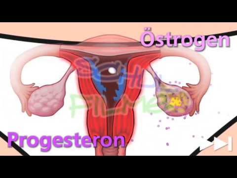 Balsam für die Gelenke aus Deutschland Menstruation und Schmerzen im Rücken