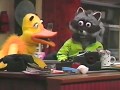 RACCOONS HATE HOMELESS PEOPLE