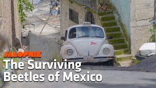 The Amazing Volkswagens of Mexico | A Look Inside
