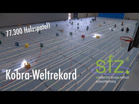 Kobra-Weltrekord am SFZ in Ochsenhausen (77.300 Holzspatel)
