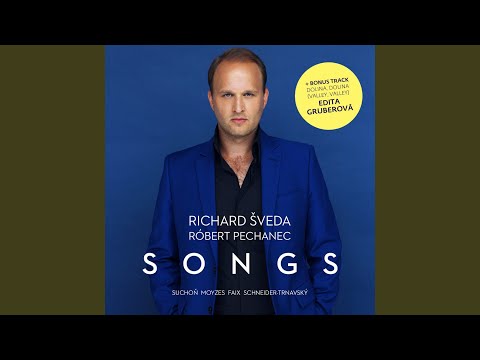 Dievča, dievča, lastovička