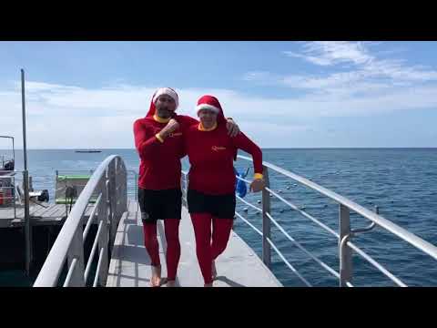 Merry Christmas, Happy Holidays, Season's Greetings from the Great Barrier Reef!