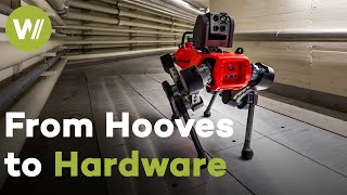 The Changing Role of Animals from the Industrial Revolution to the AI Age | Taming the Beasts (2/2)