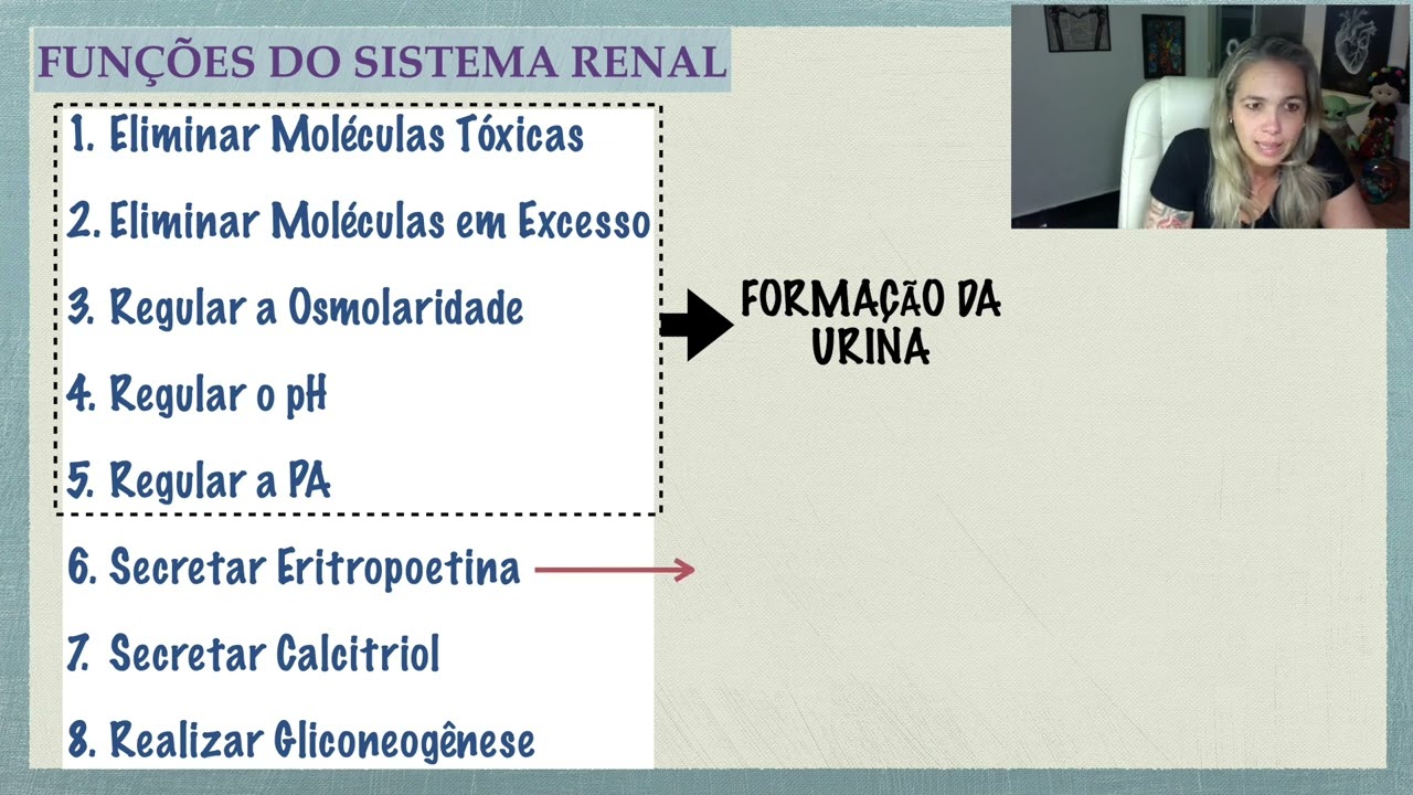 Funções do Sistema Renal