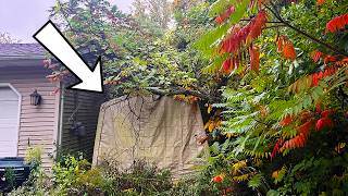 STUNNED we FOUND THIS BURIED under this OVERGROWN Yard, I ALMOST DIED