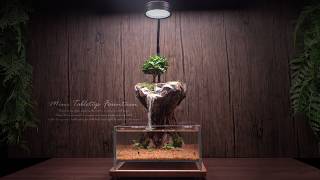 How to Make a Castle in the Sky Tabletop Aquarium with a Waterfall | Step by Step