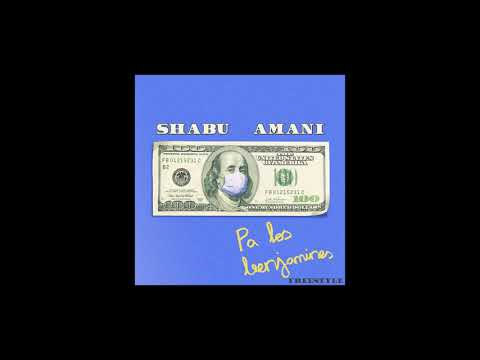 Shabu y Amani - Pa los benjamines *freestyle** (audio)
