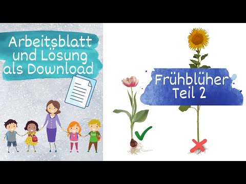 Frühblüher Teil 2 von 5, Sachunterricht Grundschule - mit Arbeitsblatt und Lösung