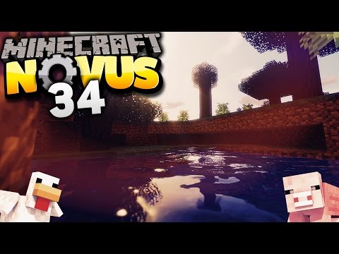 ZinuzZz, warum so geizig? ★ MINECRAFT: NOVUS #034
