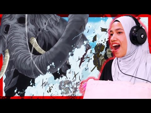 ZUNESHA DESTROYS JACK!!! 🔴 One Piece Episode 772, 773 & 774 Reaction & Discussion