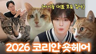(SUB) 월클 코리안 아이돌과 월클 귀여움의 코리안 숏헤어 | 코숏백과(w. 스트레이키즈 리노)