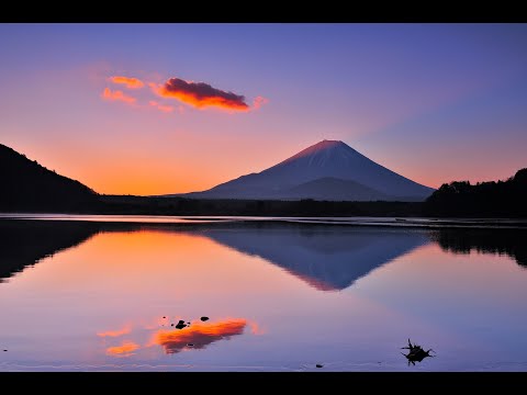 ZUISO（随想） - 想いをつづる、想いがひろがる