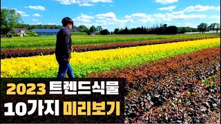 2023 미리보는 유망식물 트렌드 Top 10