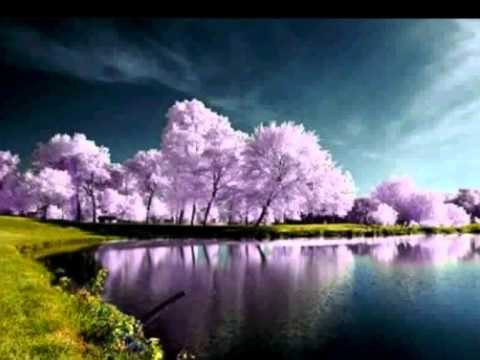 PAN PIPE MOODS II - Candle in the wind.wmv
