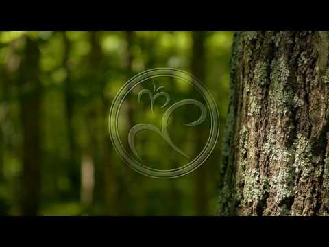 Jan Blomqvist - Stories Over (Aparde Remix)