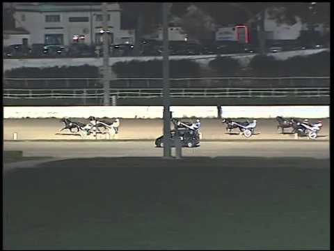 Trotto 23/11/2014 - 6° corsa