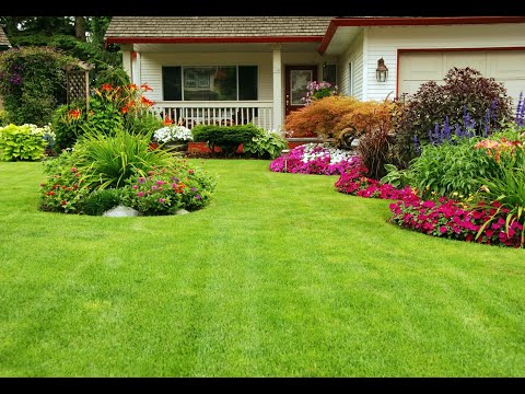 Zobacz filmy, Wolny Ogrody, Stary Jasiniec