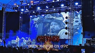 Caifanes - Ayer me dijo un ave | Emotivo homenaje (en vivo)
