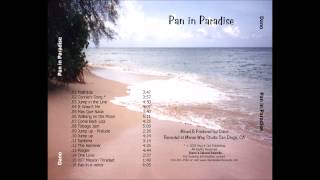 Steel Drum - Harry Belafonte Jump in the Line (Shake, Señora) Soca by Dano's Island Sounds