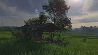 Download lagu Pemandangan Sawah|Cinematic Sawah|Cinematic alam|Cinematic 30 detik mp3