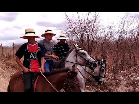 José Ferreira Neto '' Sr. Zezim'' | 91 anos
