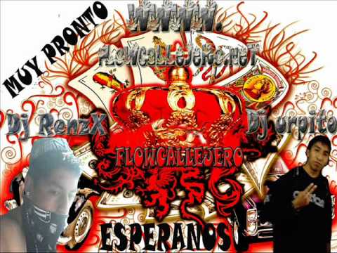 Dj Urpito ft Dj RenzX Los Pollitos Dicen (New Version 2012).