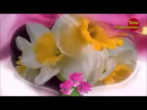 cumpleaños de elida