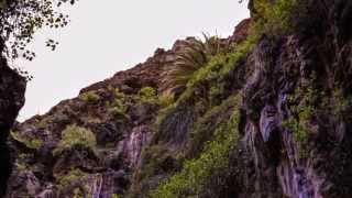 preview picture of video 'Impressions of Gomera'