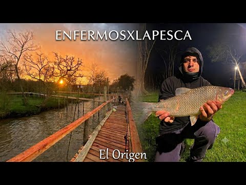 PESCA en el PARANA DE LAS PALMAS estrenamos un NUEVO CAMPING POR ESCOBAR a puras CAPTURAS..