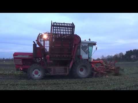 Landb. Beck - Stekene