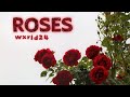 Wxrld24 ROSES Juice WRLD Cover