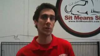 Dog Training - Teaching Puppy K9 to bark