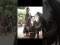 Sai Pallavi Fidaa Movie Scene Saipallavicraze Saipallavisenthamarai Saipallavi Saipallavidance