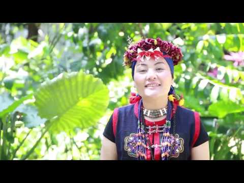 歌謠篇 - 南排灣語 08nguljinguljan nua vuciar 花開馨香《傳唱篇》