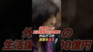 片山さつき「外国人への生活保護1200億円」国会で制度の実態を追及