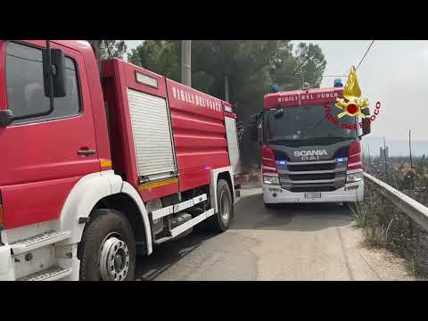 PALERMO - INCENDI VEGETAZIONE NEL PALERMITANO
