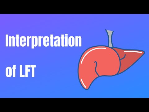 Interpretation of LFT