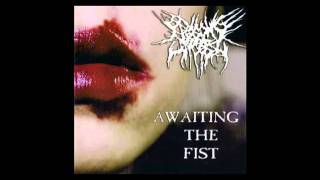Music video thumbnail preview for Begging For Incest - Fill every Hole by Begging for Incest