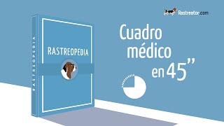 Cuadro médico en 45 segundos - Rastreopedia - Rastreator.com™