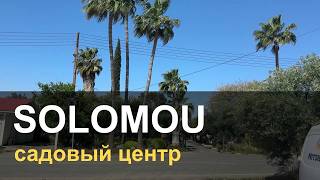 Solomou: ein Gartencenter bei Nikosia