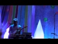 Animal Collective - Did You See The Words - Pitchfork 2011