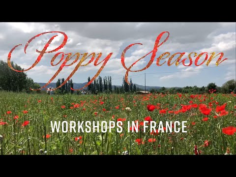 Painting in Provence - Poppy Season