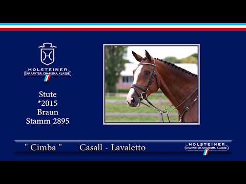 Holsteiner Elite-Reitpferdeauktion 2019 | Nr. 108 - Cimba v. Casall-Lavaletto