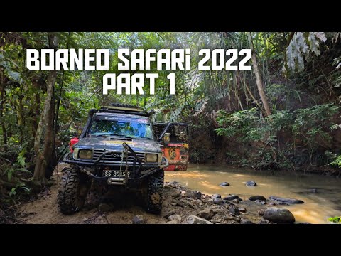 Borneo safari 2022 | Part 1
