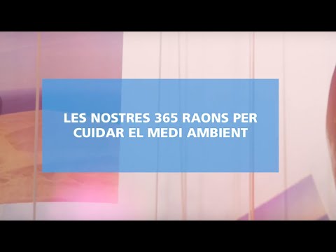 Vista previa del video