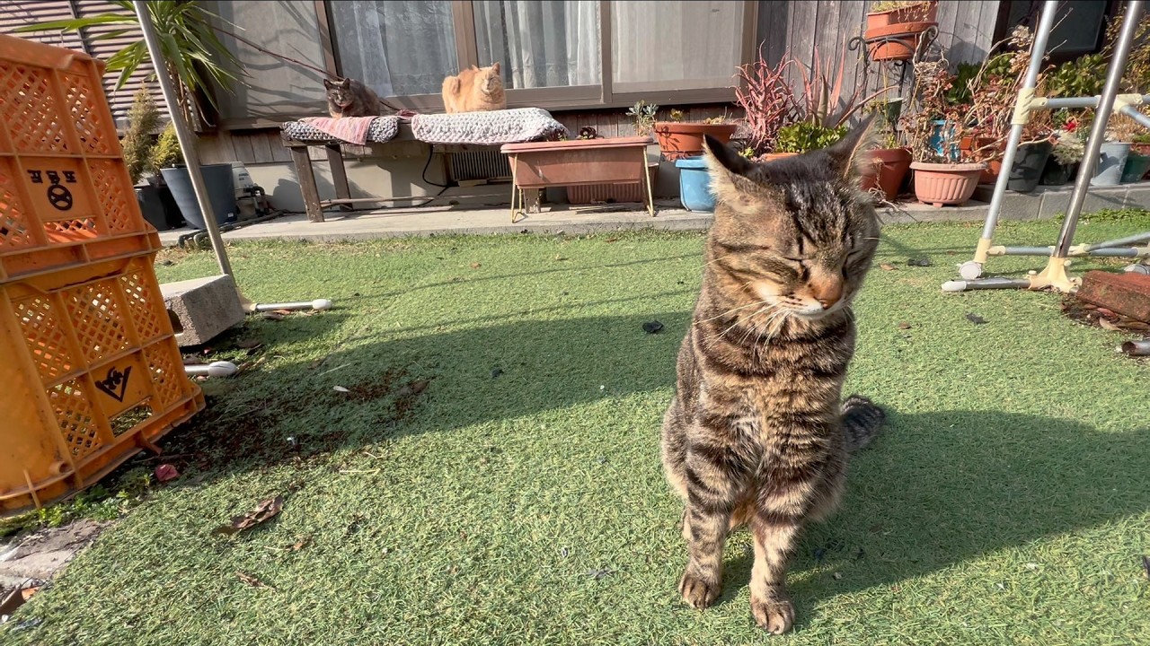 いつも寝ぼけてるけど一番楽しそうにしてます